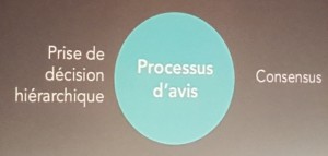 Organisation-Teal-processus d'avis-auto-gouvernance