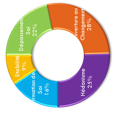 Metamotivation tournée
