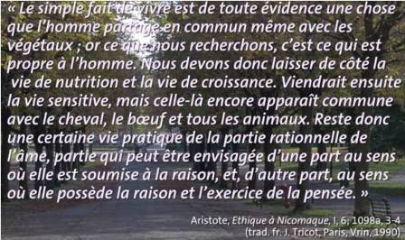 Aristote-Ethique-à-Nicomaque-qu'est-ce-que-le-bien-spécificité-humaine