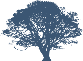 logo-tree-full-3c-conseil.fr