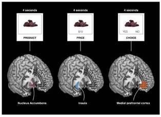 neuromarketing-achat