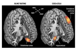 neuromarketing-coca-vs-pepsi-p